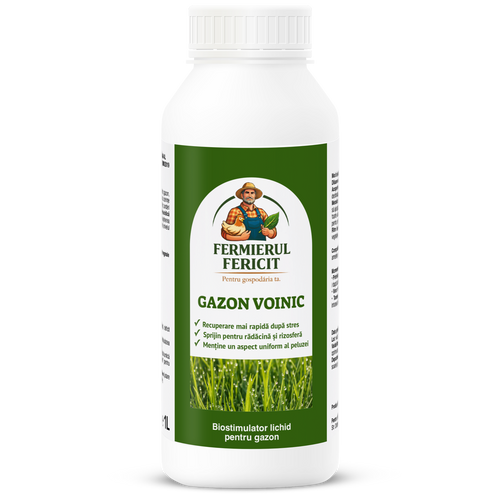 GAZON VOINIC – Secretul gazonului verde, des și rezistent care atrage toate privirile 🌱
