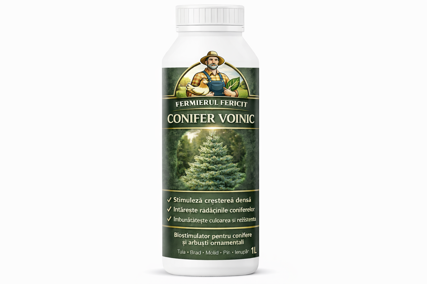 CONIFER VOINIC – Secretul coniferelor dese, verzi intens și rezistente tot anul 🌲